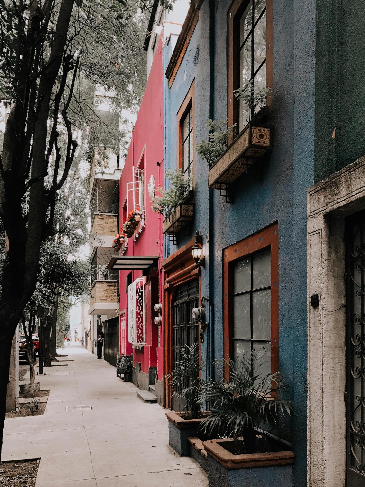 VENTANAS DE PVC COYOACAN
